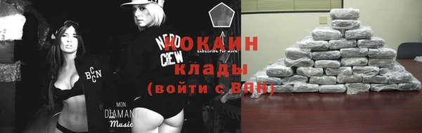 кокс Арсеньев