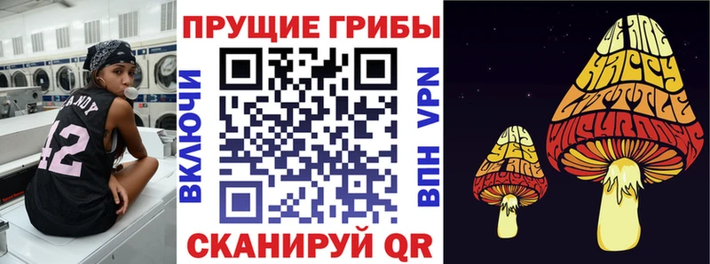 Галлюциногенные грибы Magic Shrooms  Приморск 
